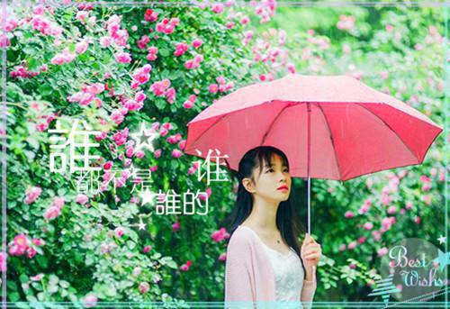 闺蜜想母凭子贵嫁豪门，我成全她免费阅读 许如如金如意周泽谐小说无弹窗