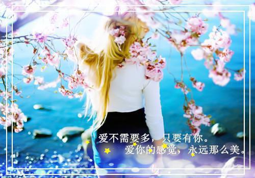 安粥谢衍哪里可以看 安粥谢衍免费阅读第2章
