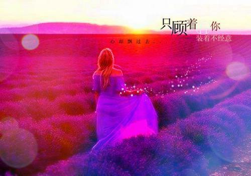 此去经年人未还言情作品最新章节列表_此去经年人未还言情作品全文免费阅读(沈青禾霍沉洲)