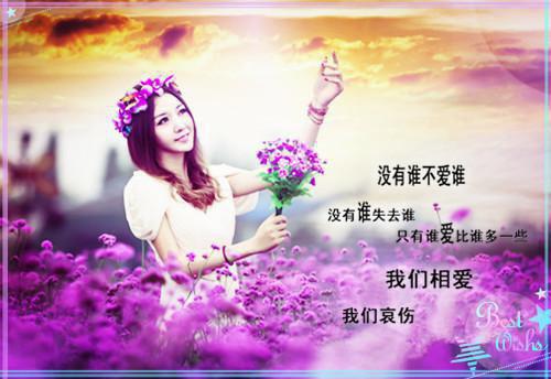 江砚修安沅芙免费阅读无弹窗 江砚修安沅芙最新章节