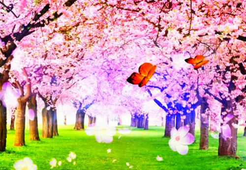 陈长生韩秀雅小说全文阅读 陈长生韩秀雅第3章