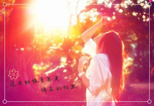 陆时野温蕙小说 陆时野温蕙免费章节阅读