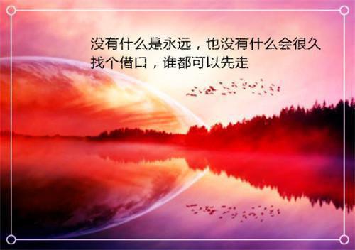 主角是楚晋言夏清漓的小说免费阅读全文大结局