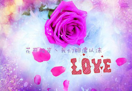 月璃封寂的小说 月璃封寂全文免费阅读