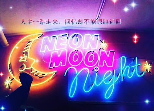 白玫瑰的告别 主角沈晚晚周砚小说