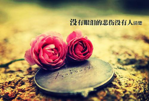 拐卖被找回后，发现哥哥找了替身最新章节 许冉周欣然在线阅读