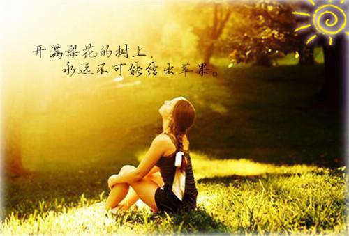 主角肖杰唐礼小说 肖杰唐礼小说全文免费阅读