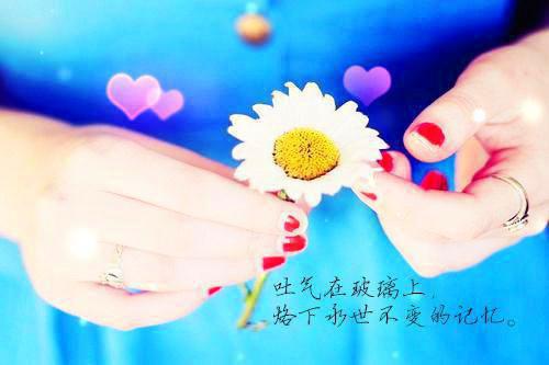 重生后，恋爱脑大杀四方顾楚潇孟文瑞小说免费试读