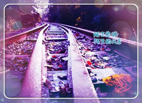 这世界还有直男吗？全文目录 贺遂付齐小说免费阅读无广告