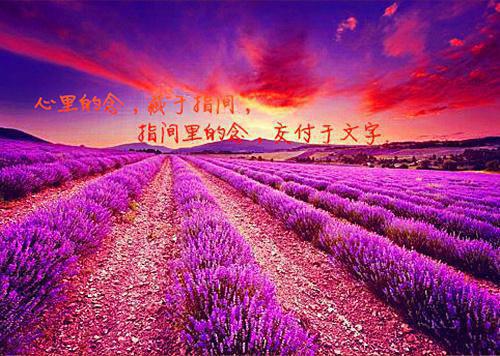裴念念许妄主角的书 离婚重回高中，被死对头蓄意引诱全文阅读免费