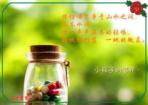 苏忆雪陆清砚周辞安免费大结局 为了给装穷老婆还债，母亲上吊***全文+番外完结小说