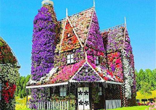 洛知年沈青青免费 抽签选妻的太子把签文全换成假圣女后,我炸了皇陵完整版小说