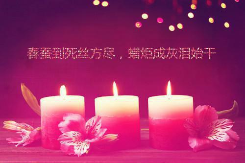 我替装穷老公还债百万，他却拿我当赌注全文目录 赵明宇林菲菲小说免费阅读无广告