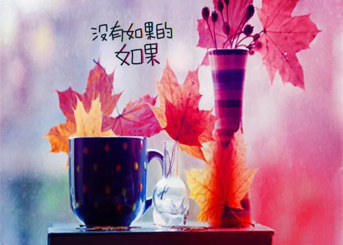 李珍儿陈旭无弹窗 老公让女徒弟抓蟑螂，我让他人财两空李珍儿陈旭全文免费阅读