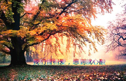 寻你寻不到归期：结局+番外（姜昭意盛西辞）最新章节列表_寻你寻不到归期：结局+番外（姜昭意盛西辞）寻你寻不到归期：结局+番外在线阅读