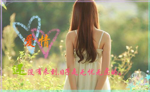 秦佳期秦子轩是什么书 秦佳期秦子轩免费章节在线阅读
