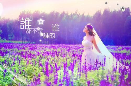白皓轩林麒苏婉晴小说免费试读 白皓轩林麒苏婉晴第2章
