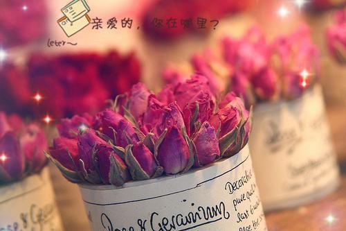 离婚后孕吐，禁欲总裁彻底失控爱恨纠葛（宁汐傅景琛）最新推荐_最新推荐离婚后孕吐，禁欲总裁彻底失控爱恨纠葛（宁汐傅景琛）