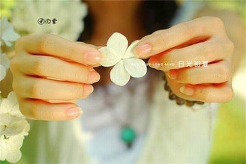 北雁念归期：结局+番外免费阅读无弹窗大结局_（姜北沈念）北雁念归期：结局+番外最新章节列表_笔趣阁（姜北沈念）