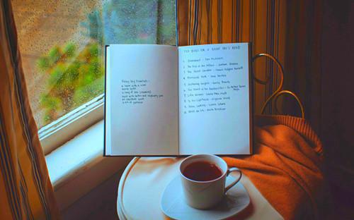 沈衿歌杨珺泽完整版 沈衿歌杨珺泽小说全文在线阅读