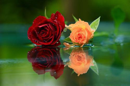 (番外)+(全文)陆依霜轩辕翊:全文+后续+结局免费下载阅读_(陆依霜轩辕翊)陆依霜轩辕翊:全文+后续+结局最新章节列表_笔趣阁(陆依霜轩辕翊)