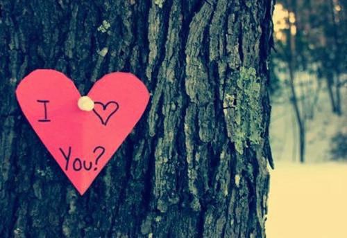 欣欣柠柠《重生后手撕冒充我的婆婆》小说在线阅读