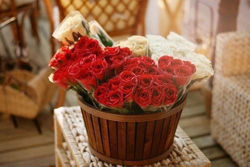 温书雅贺闻舟小说章节目录 温书雅贺闻舟免费阅读第2章