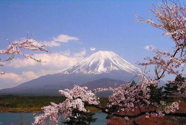《秦朝露顾闻洲小说》无弹窗全文免费阅读