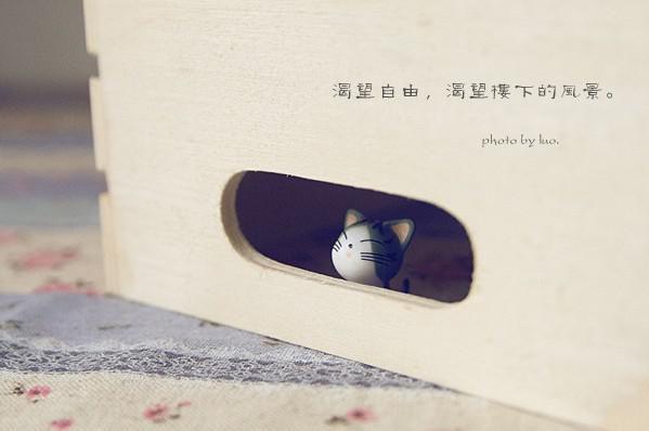 石女表姐的秘密（林舒楠林妍可）已完结，石女表姐的秘密已完结