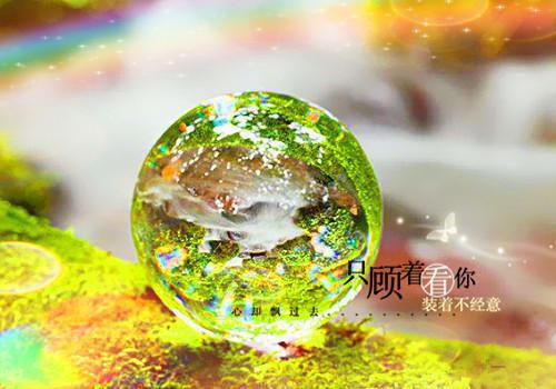 钟玄张风是哪部小说的主角 钟玄张风全文阅读