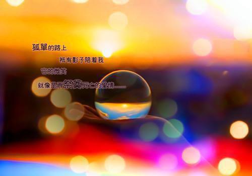 妹妹被京圈太子做成人骨手袋后，律师妻子竟逼我去顶罪陈肆柳闻溪免费章节试读