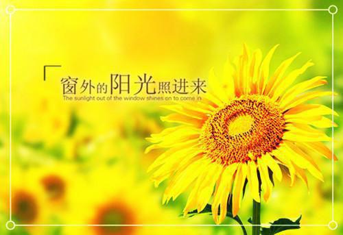 春日旎语：结局+番外沈棠安程迹沈昭宁江彻小说最新章节(在线阅读)