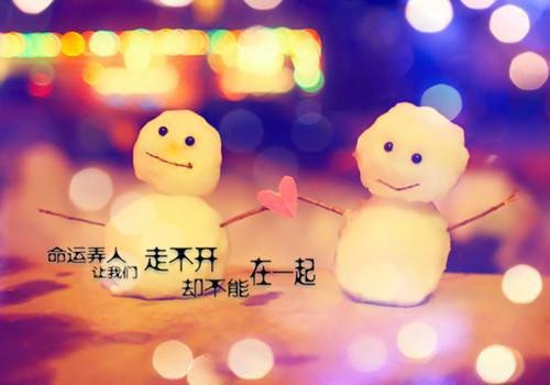 (重回八零我踹了丈夫一心上大学：结局+番外)书荒文好文分享(顾昭言沈秋月)全文免费阅读无弹窗大结局_重回八零我踹了丈夫一心上大学：结局+番外最新章节列表_笔趣阁顾昭言沈秋月