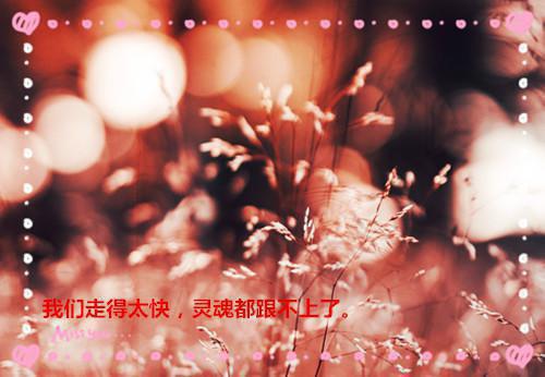 完结文神女老婆，却在背地承欢作乐：完结精选作品最新章节列表_完结文神女老婆，却在背地承欢作乐：完结精选作品全文免费阅读（顾尘傅雅宁）