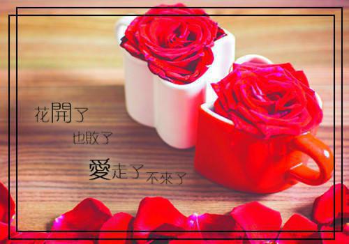 主角名是陆行易舟全文免费阅读正版