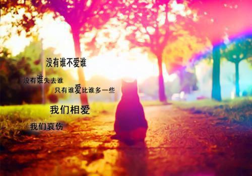 (抖音小说)宋时谨孟见云免费阅读