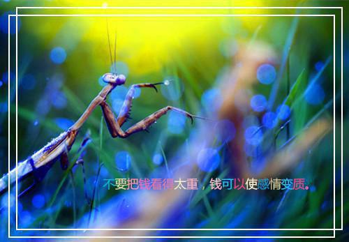 拍卖会点天灯后男友拍卖我365张私房照：+免费+后续秦斯年林书雅推荐完本_已完结拍卖会点天灯后男友拍卖我365张私房照：+免费+后续（秦斯年林书雅）