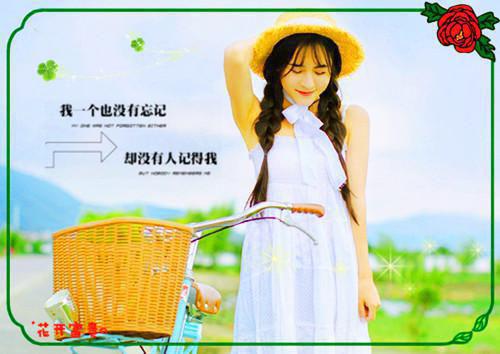 顾铭叶清雅免费阅读小说 顾铭叶清雅