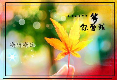 傅云州唐之仪小说全文免费阅读 傅云州唐之仪最新章节