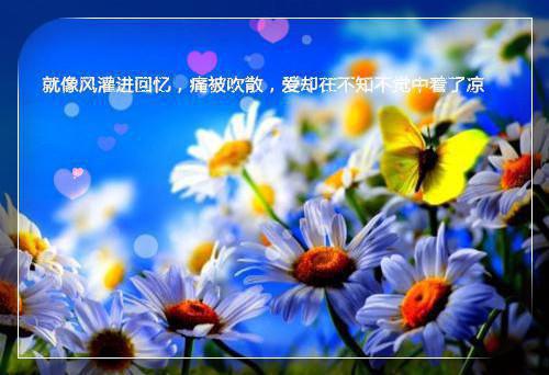 和我成婚，也只是为了报复我后续(白芷裴怀钰)（和我成婚，也只是为了报复我）整本畅享在线+无广告结局