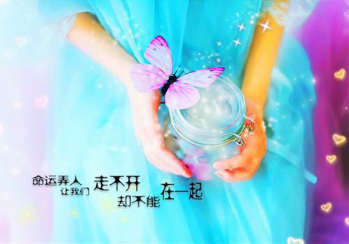 好看的影后，结婚吧：顾珩叶殊小说_影后，结婚吧：顾珩叶殊最新章节阅读