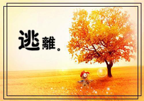 林安陈然小说在线阅读 林安陈然最新章节目录