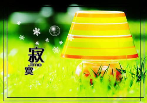 林晚儿免费章节最新 为给养女续命，亲生父母拿我献祭by满船清梦