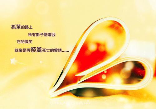 顾清洛秦朝泽是哪部小说的主角 顾清洛秦朝泽全文阅读