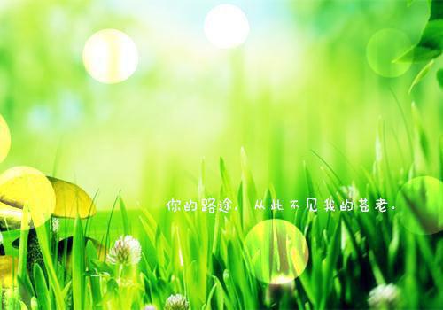 男友的三次背叛：青梅将我推向蛇窟季寒川赵晓月免费章节试读