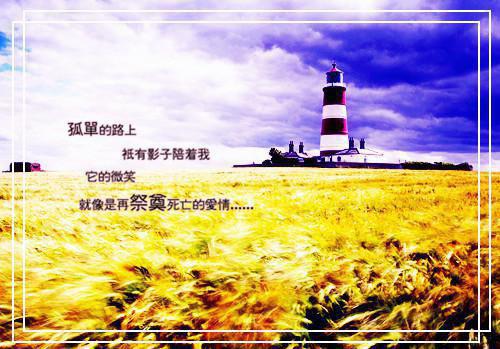 恐怖游戏：我悬疑大神还怕女鬼敲门？无弹窗阅读 张白赵雪小说