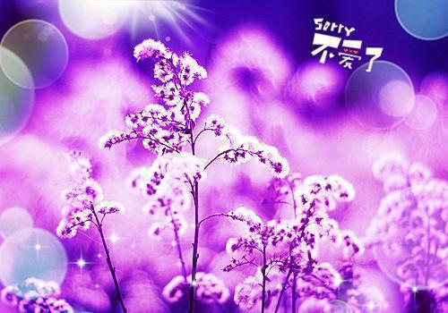 夫君杀我九世后，才知我已魂断巫语花裴云景清颜推荐完本_已完结夫君杀我九世后，才知我已魂断巫语花（裴云景清颜）