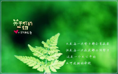 裴希冉郭启超免费小说 裴希冉郭启超全文阅读目录