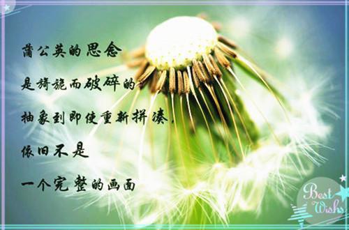 林溯舟柳如雪小说 林溯舟柳如雪免费章节阅读