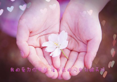 《梁明昭沈砚卿小说》无弹窗全文免费阅读